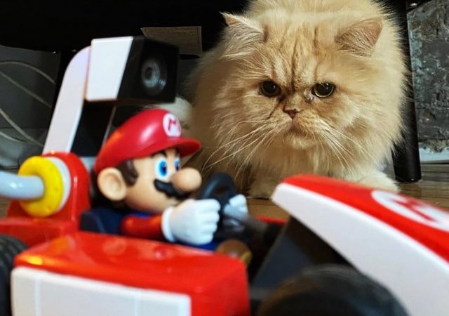 mario kart live kat